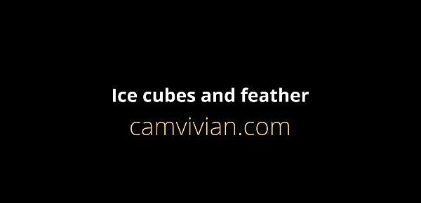  Ice cubes and feathers
